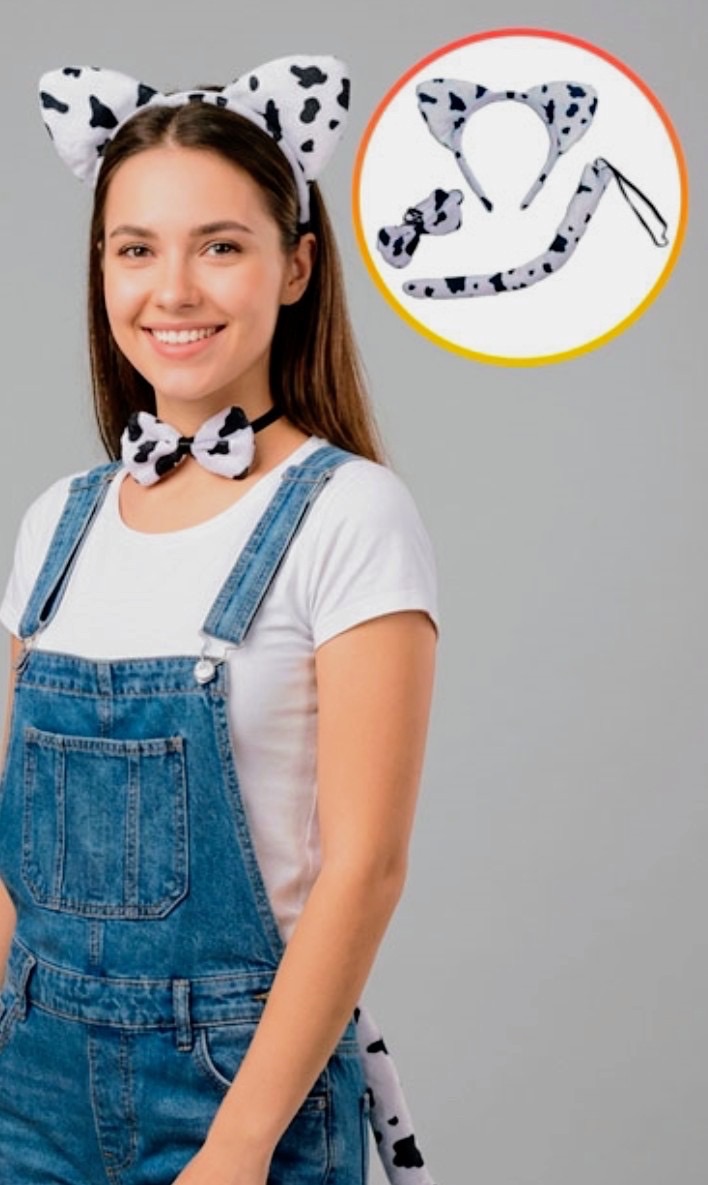 Set dálmata