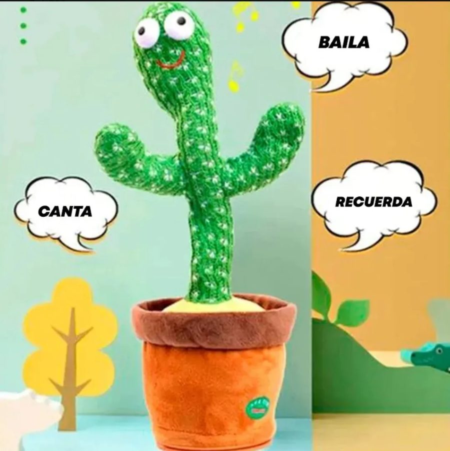 Cactus Bailarín